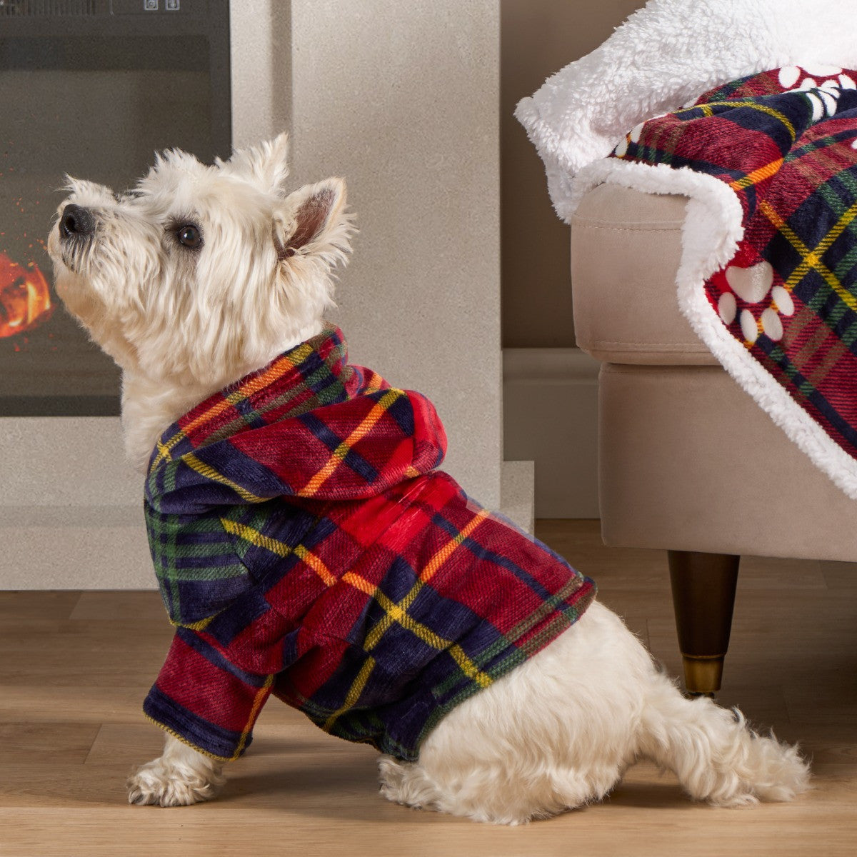 Oxford Check Print Dog Hoodie