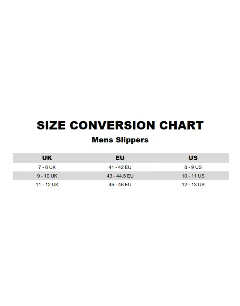 XBOX Slippers for Men