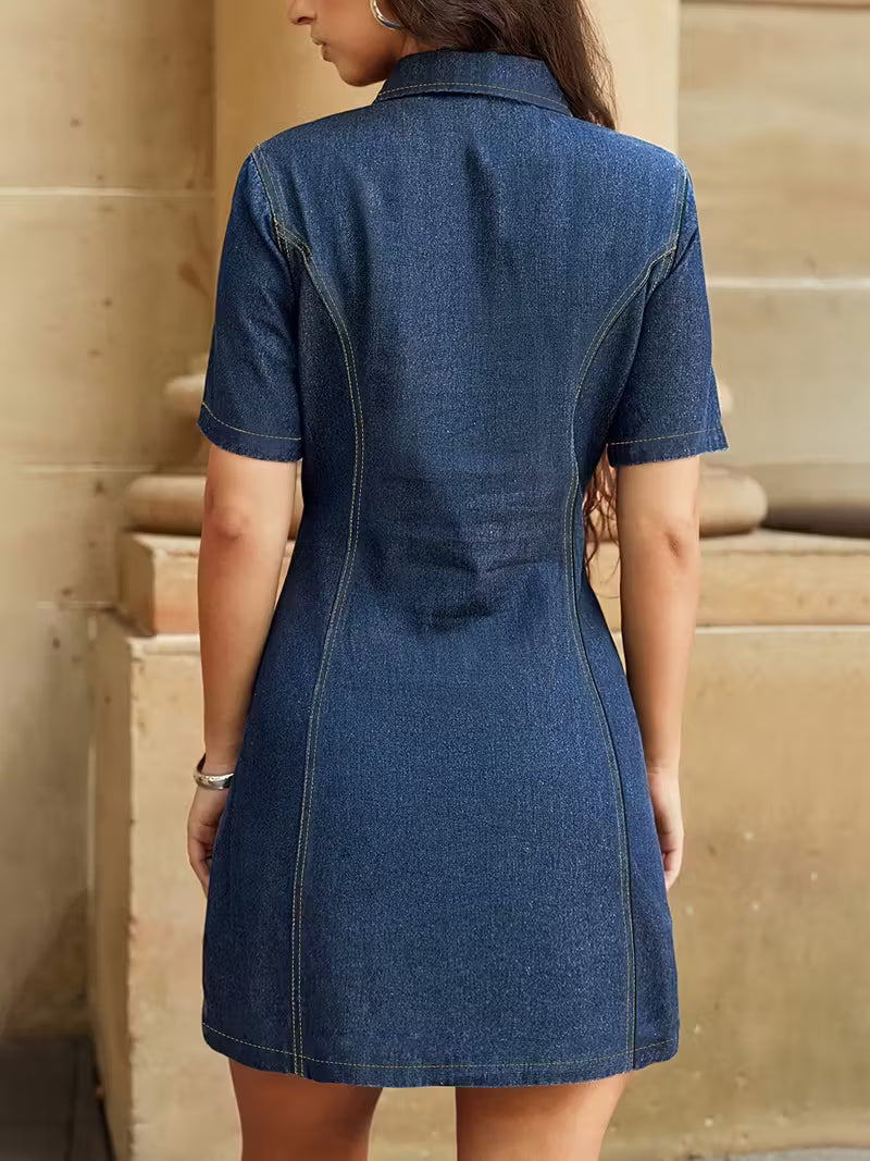 Denim V-Neck Zip-Up Dress