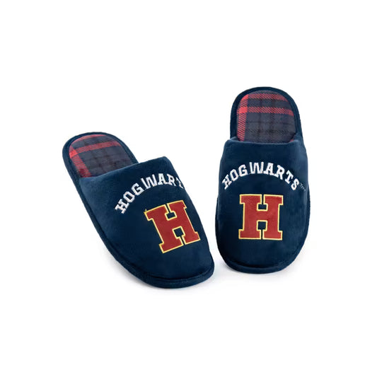 Harry Potter Mens Slippers