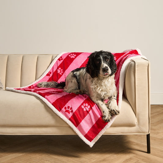 Candy Stripe Paw Print Sherpa Reverse Throw
